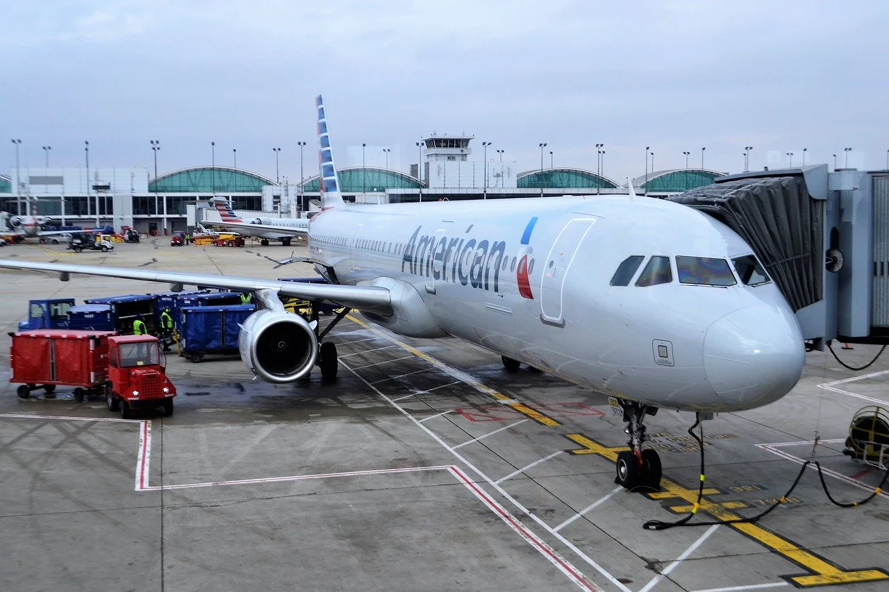 Is Pet Cargo Travel Safe?